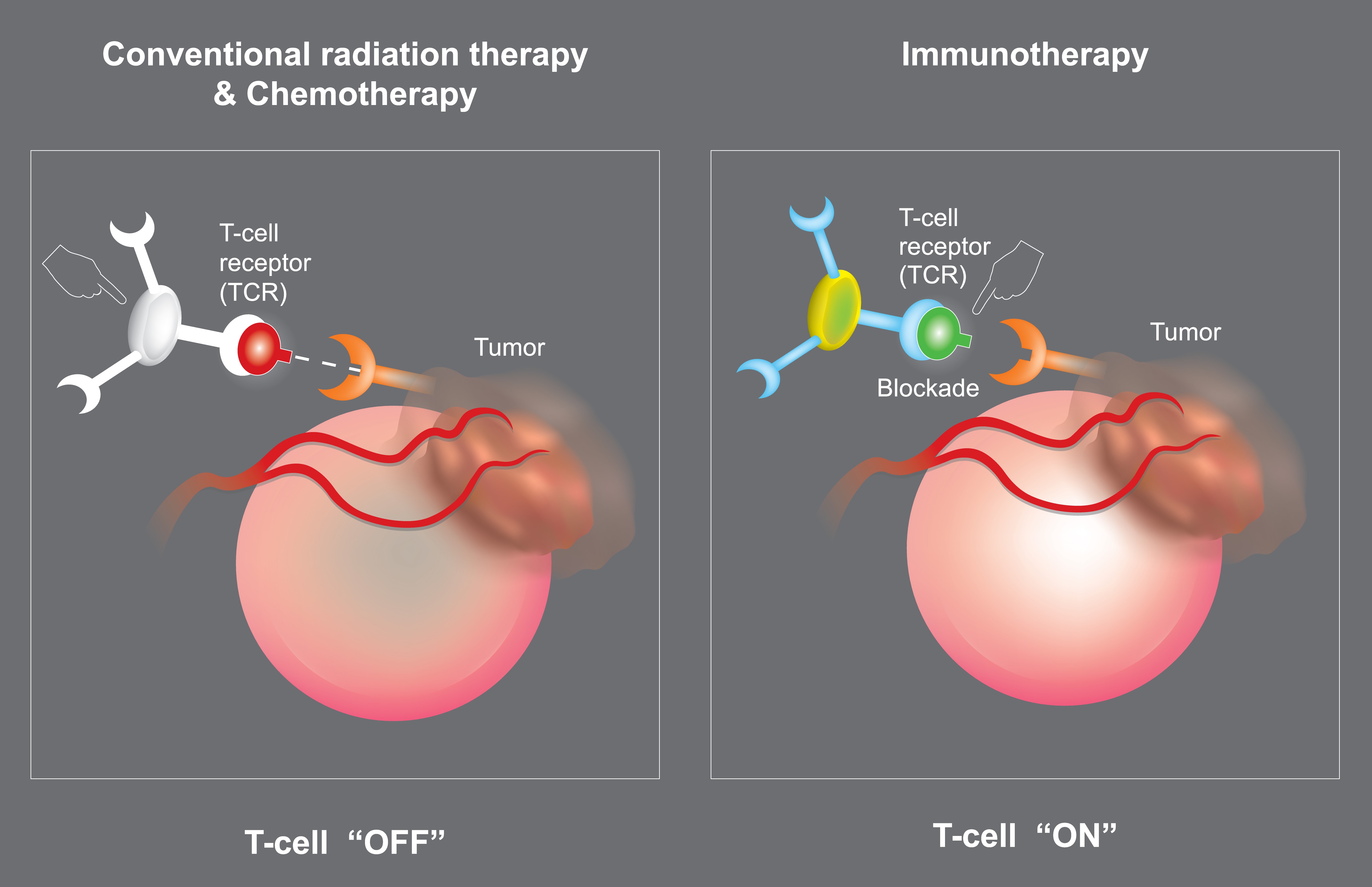 34663326_tumor_immunotherapy.jpg