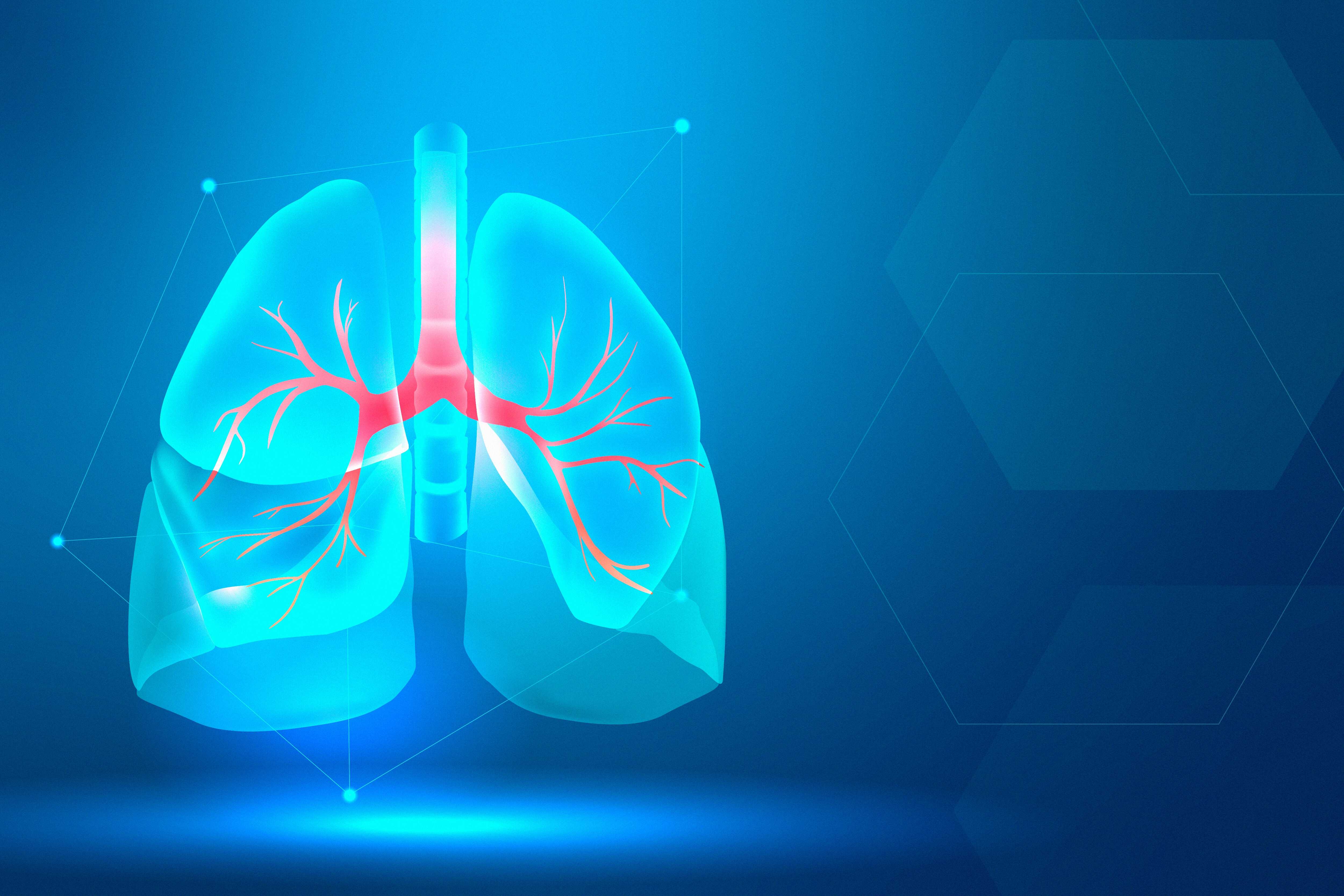 lung-banner-respiratory-system-s.jpg