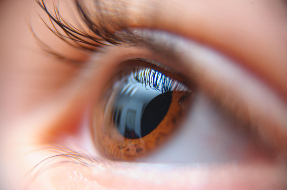 closeup-person-s-beautiful-brown-eye.jpg